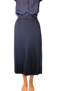 Sarah Pleat Skirt in Navy