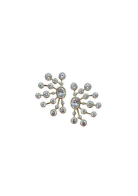 Eclatement D'Etoile Earrings in Pearl